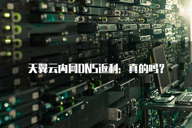天翼云内网DNS返利:真的吗?