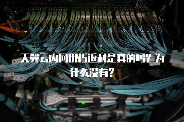 天翼云内网DNS返利是真的吗?为什么没有?