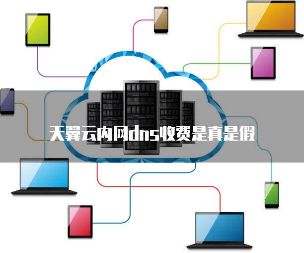 天翼云内网dns收费是真是假