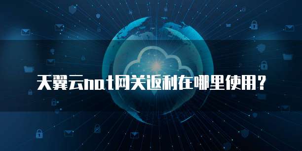 天翼云nat网关返利在哪里使用?