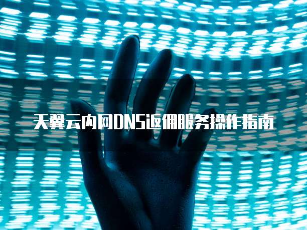 天翼云内网DNS返佣服务操作指南