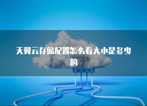 天翼云存储配置怎么看大小是多少的