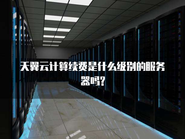 天翼云计算续费是什么级别的服务器吗?