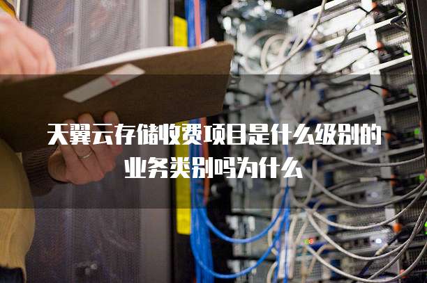 天翼云存储收费项目是什么级别的业务类别吗为什么
