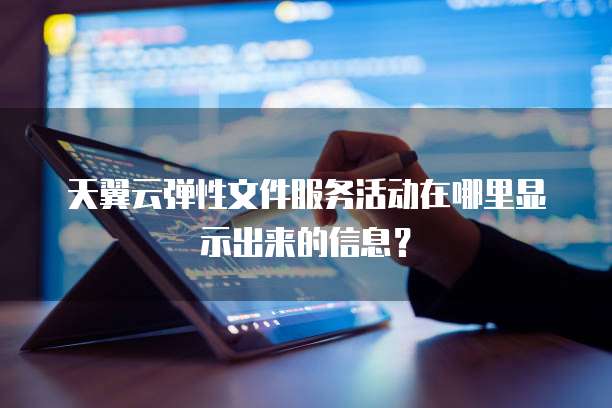 天翼云弹性文件服务活动在哪里显示出来的信息？