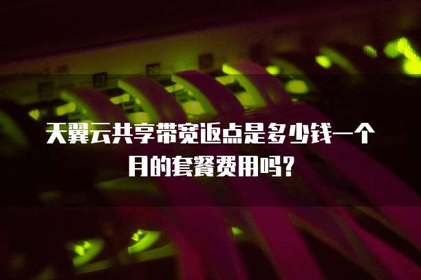 天翼云共享带宽返点是多少钱一个月的套餐费用吗?