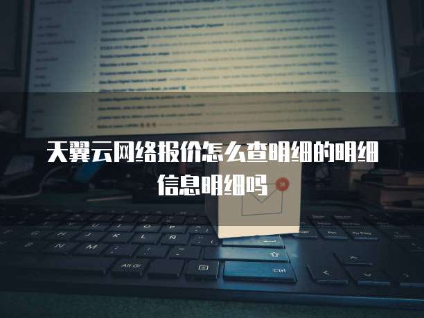 天翼云网络报价怎么查明细的明细信息明细吗