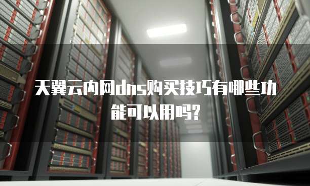 天翼云内网dns购买技巧有哪些功能可以用吗?