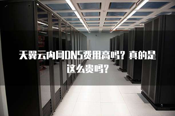 天翼云内网DNS费用高吗?真的是这么贵吗?