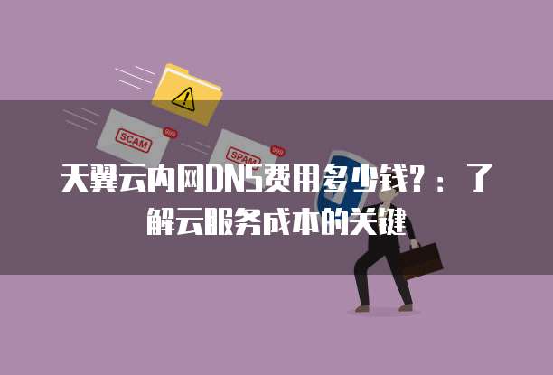 天翼云内网DNS费用多少钱?:了解云服务成本的关键