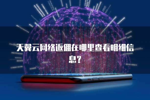 天翼云网络返佣在哪里查看明细信息?