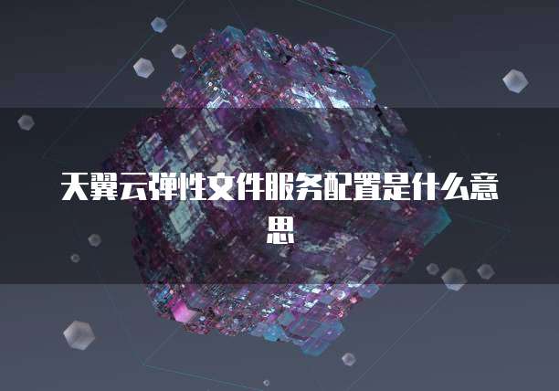 天翼云弹性文件服务配置是什么意思