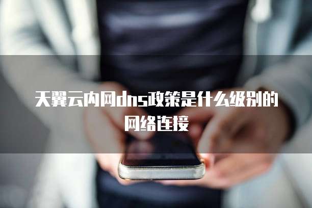 天翼云内网dns政策是什么级别的网络连接