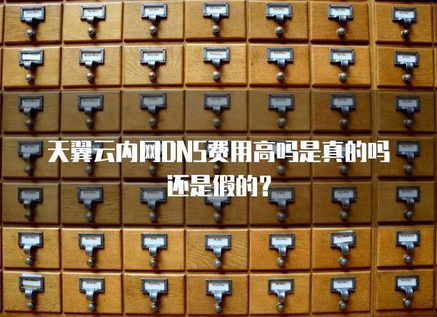 天翼云内网DNS费用高吗是真的吗还是假的?