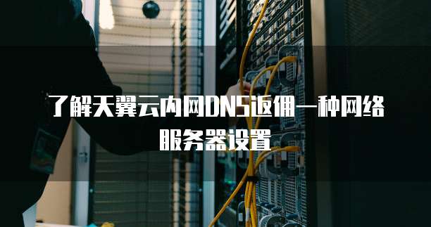 了解天翼云内网DNS返佣一种网络服务器设置