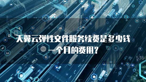 天翼云弹性文件服务续费是多少钱一个月的费用?
