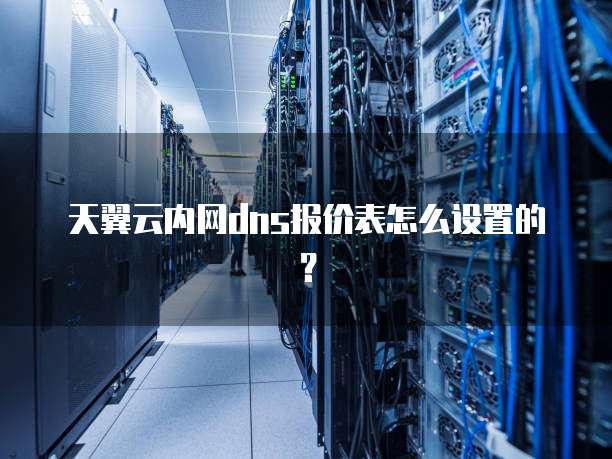 天翼云内网dns报价表怎么设置的？