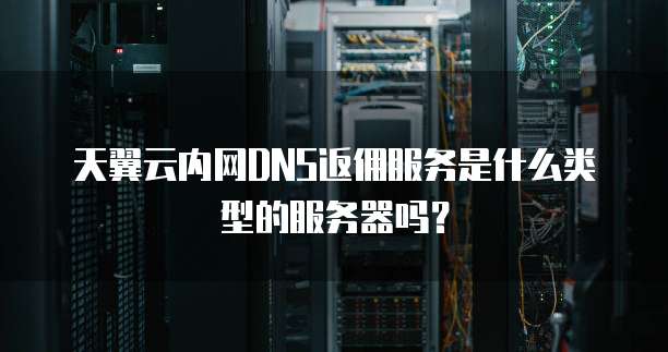 天翼云内网DNS返佣服务是什么类型的服务器吗?
