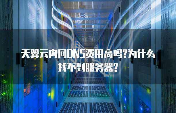 天翼云内网DNS费用高吗?为什么找不到服务器?