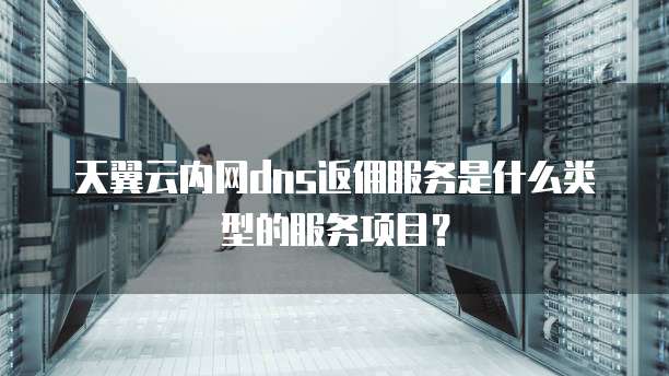 天翼云内网dns返佣服务是什么类型的服务项目？