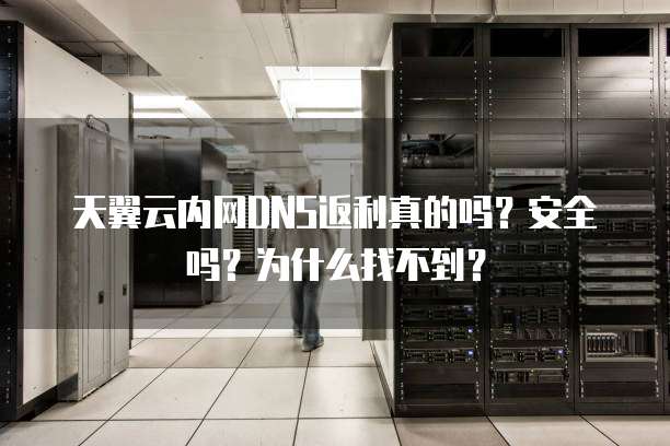 天翼云内网DNS返利真的吗？安全吗？为什么找不到？