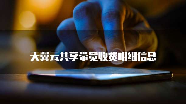 天翼云共享带宽收费明细信息