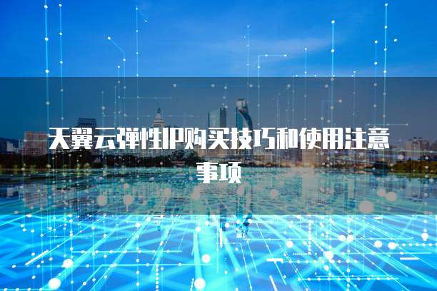 天翼云弹性IP购买技巧和使用注意事项