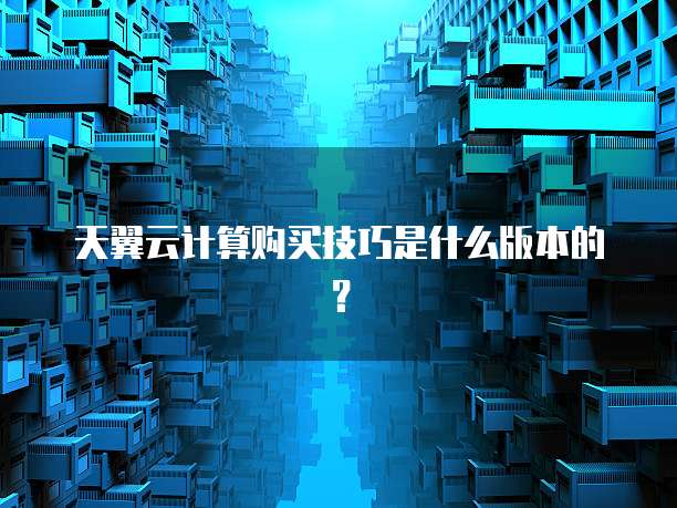 天翼云计算购买技巧是什么版本的?