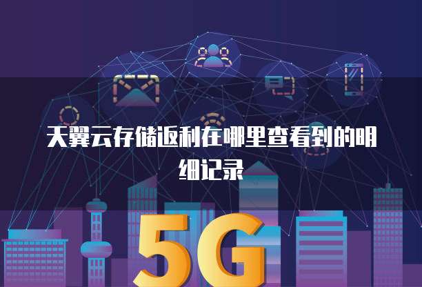 天翼云存储返利在哪里查看到的明细记录