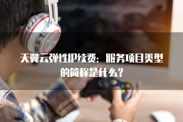 天翼云弹性IP续费：服务项目类型的简称是什么？