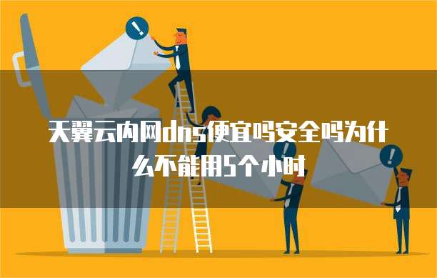 天翼云内网dns便宜吗安全吗为什么不能用5个小时