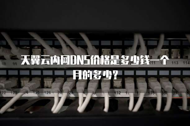 天翼云内网DNS价格是多少钱一个月的多少?