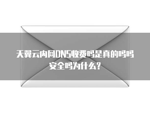 天翼云内网DNS收费吗是真的吗吗安全吗为什么？