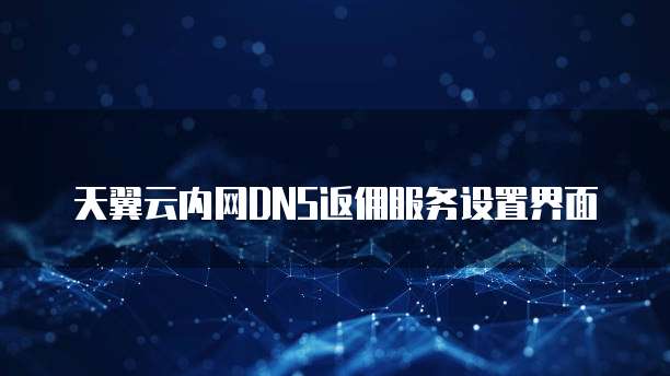 天翼云内网DNS返佣服务设置界面