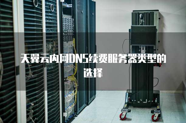 天翼云内网DNS续费服务器类型的选择