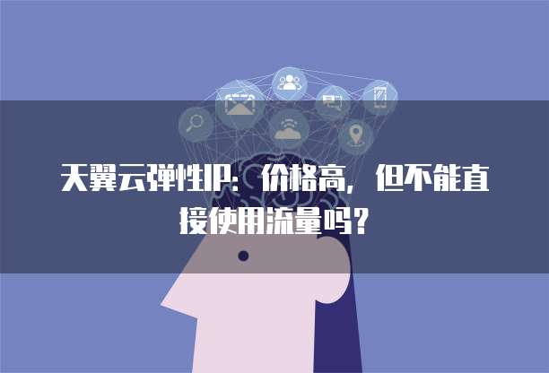 天翼云弹性IP:价格高,但不能直接使用流量吗?