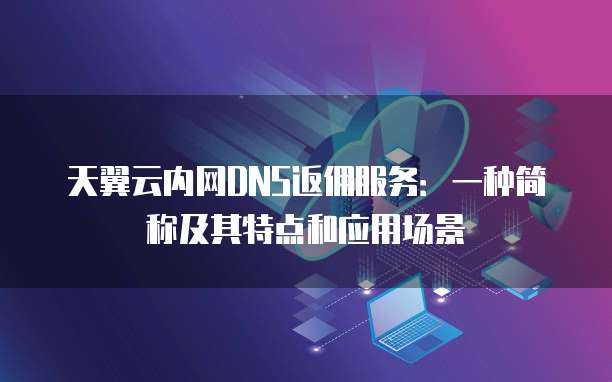 天翼云内网DNS返佣服务:一种简称及其特点和应用场景