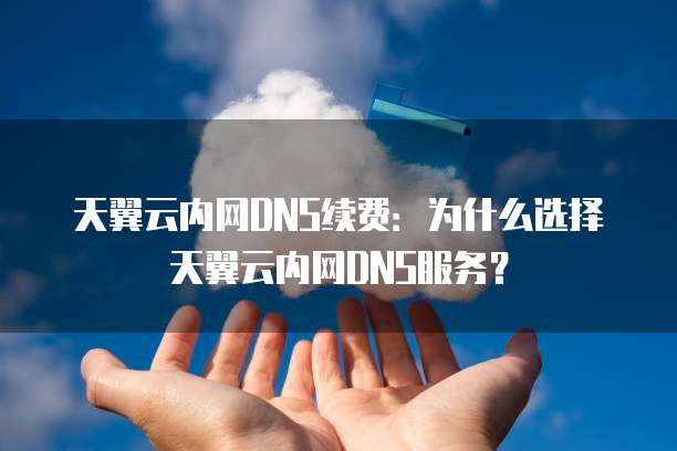 天翼云内网DNS续费:为什么选择天翼云内网DNS服务?