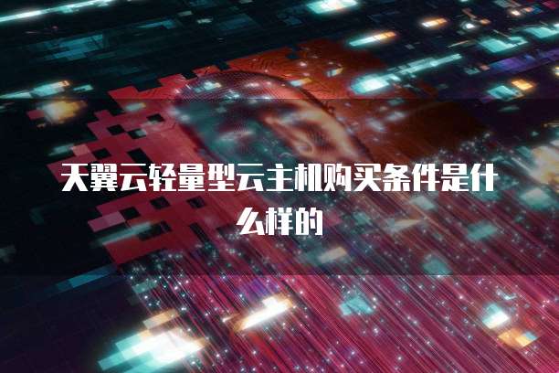 天翼云轻量型云主机购买条件是什么样的