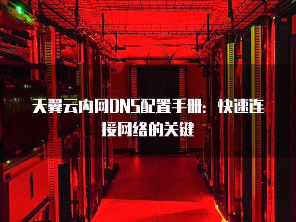 天翼云内网DNS配置手册：快速连接网络的关键