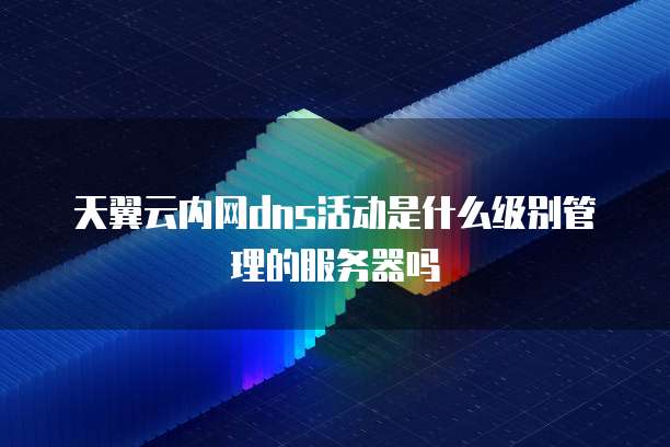 天翼云内网dns活动是什么级别管理的服务器吗