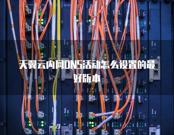 天翼云内网DNS活动怎么设置的最好版本