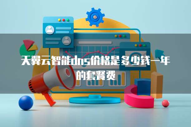 天翼云智能dns价格是多少钱一年的套餐费