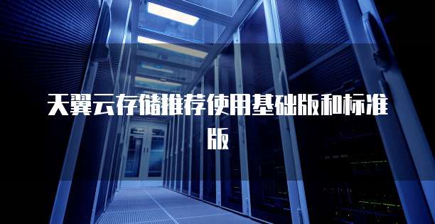 天翼云存储推荐使用基础版和标准版

