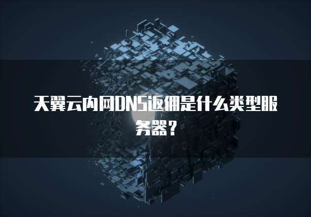 天翼云内网DNS返佣是什么类型服务器?
