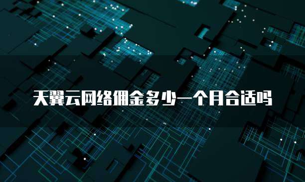 天翼云网络佣金多少一个月合适吗