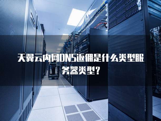 天翼云内网DNS返佣是什么类型服务器类型?
