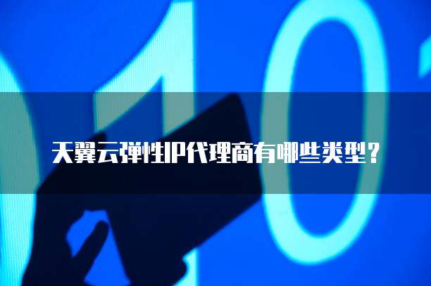 天翼云弹性IP代理商有哪些类型?