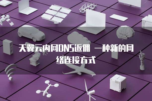天翼云内网DNS返佣 一种新的网络连接方式