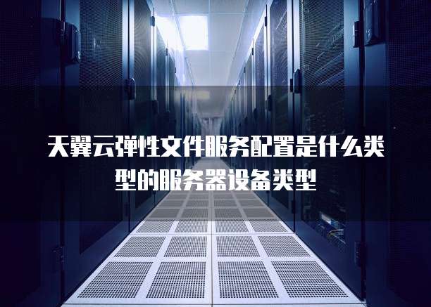 天翼云弹性文件服务配置是什么类型的服务器设备类型